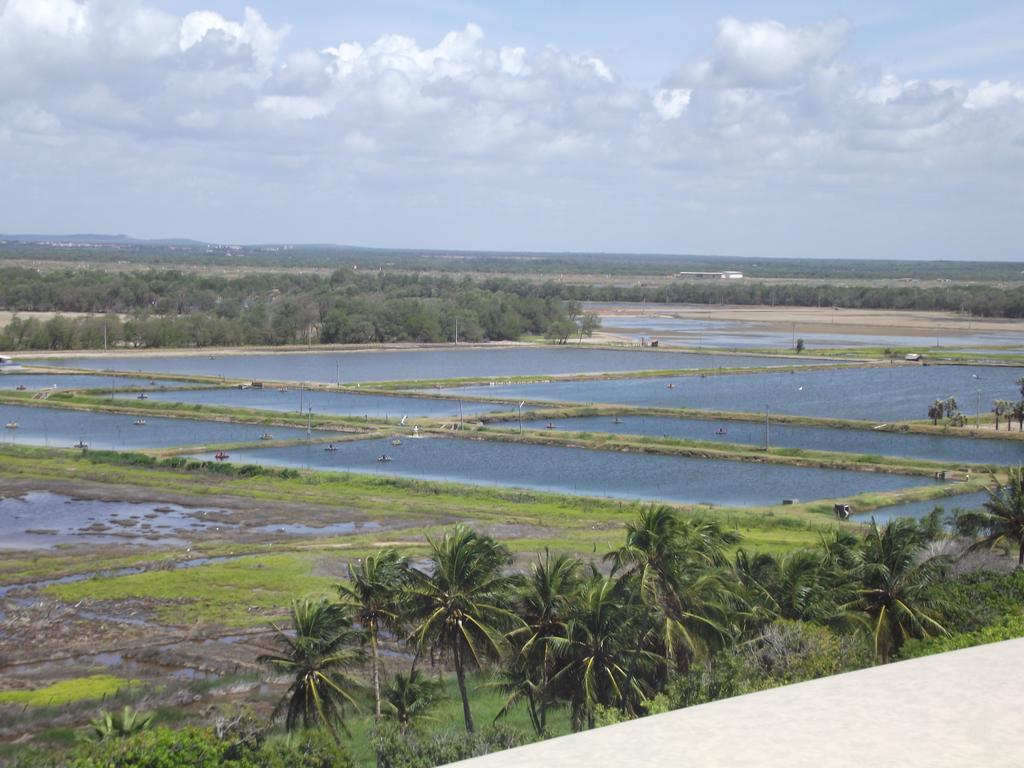Apart Canoa Quebrada Exterior foto